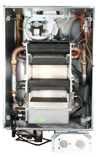 glow worm engery1.gif